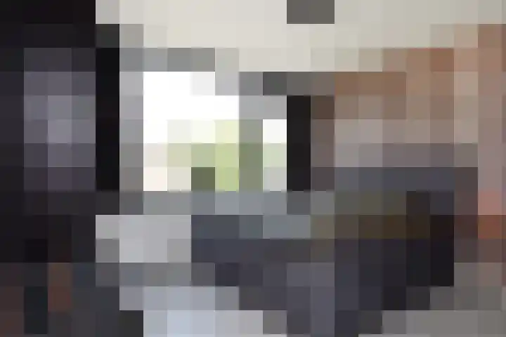 Swemcoperlaan 15 Berkel en Rodenrijs thumbnail 29