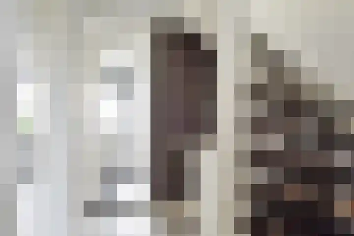 Swemcoperlaan 15 Berkel en Rodenrijs thumbnail 33