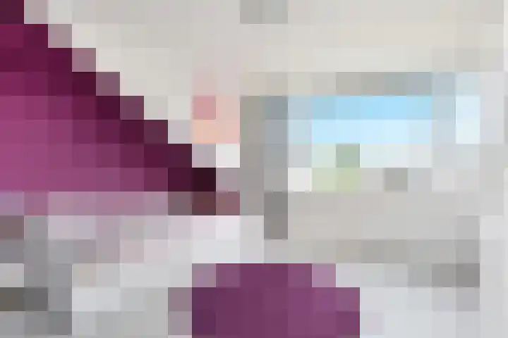 Swemcoperlaan 15 Berkel en Rodenrijs thumbnail 36