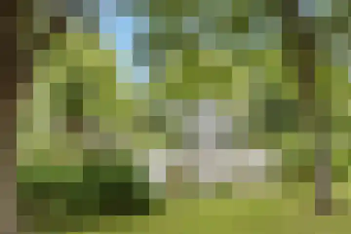 Swemcoperlaan 15 Berkel en Rodenrijs thumbnail 39