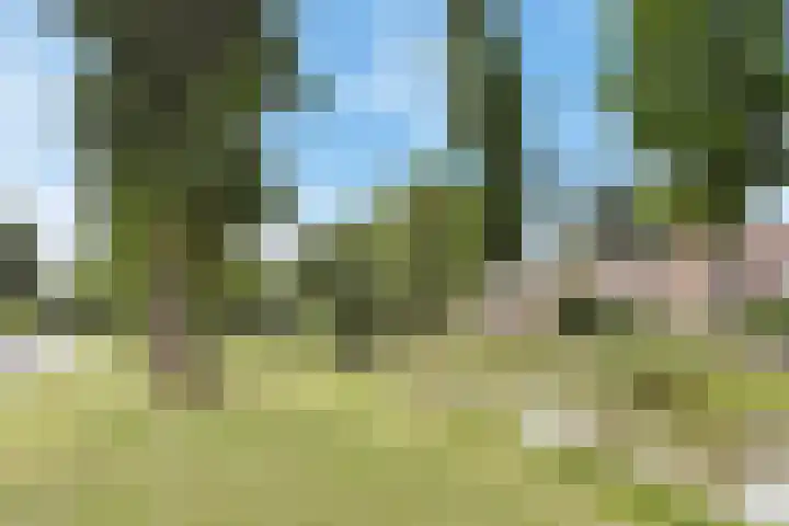Swemcoperlaan 15 Berkel en Rodenrijs thumbnail 41
