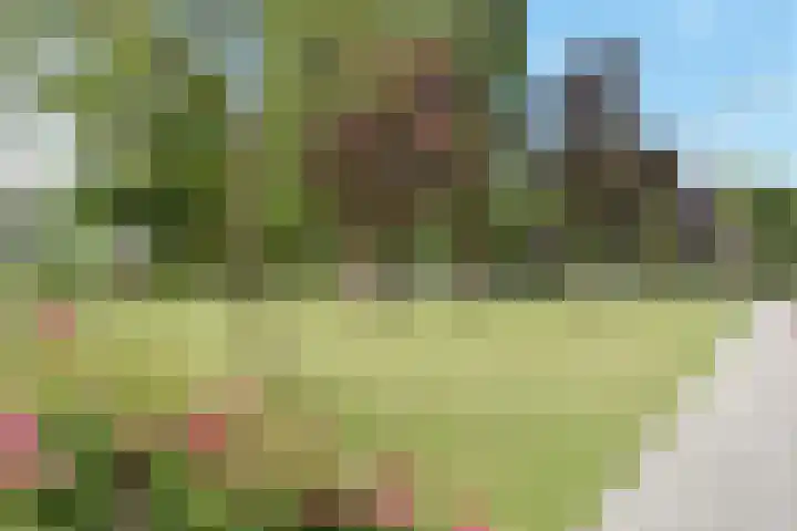 Swemcoperlaan 15 Berkel en Rodenrijs thumbnail 42