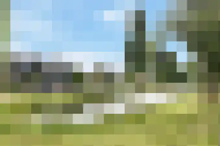 Swemcoperlaan 15 Berkel en Rodenrijs thumbnail 45