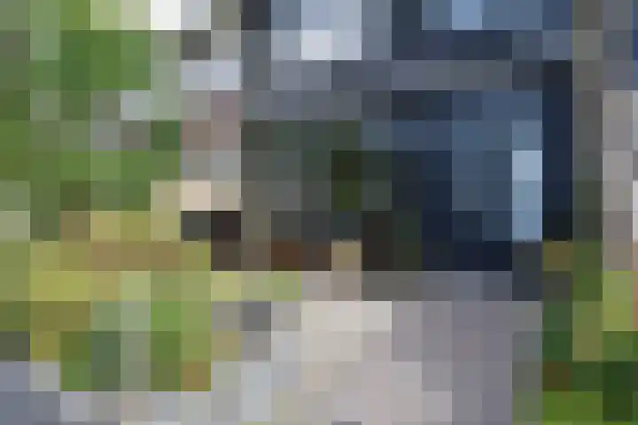 Swemcoperlaan 15 Berkel en Rodenrijs thumbnail 5