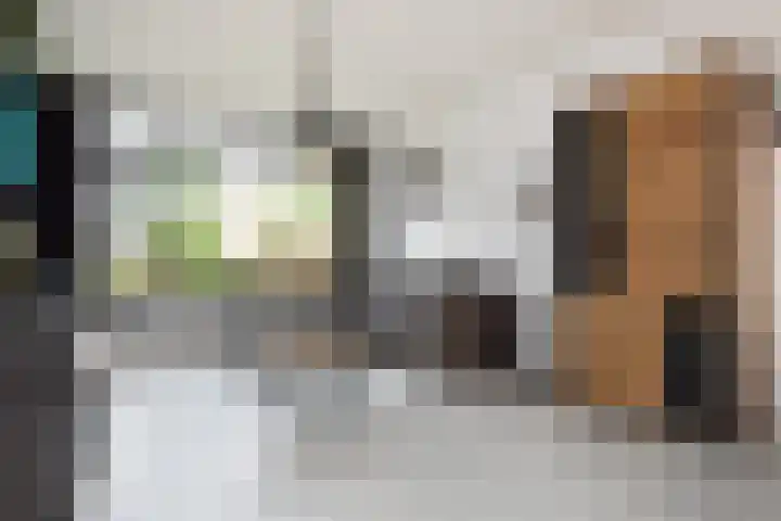 Swemcoperlaan 15 Berkel en Rodenrijs thumbnail 8
