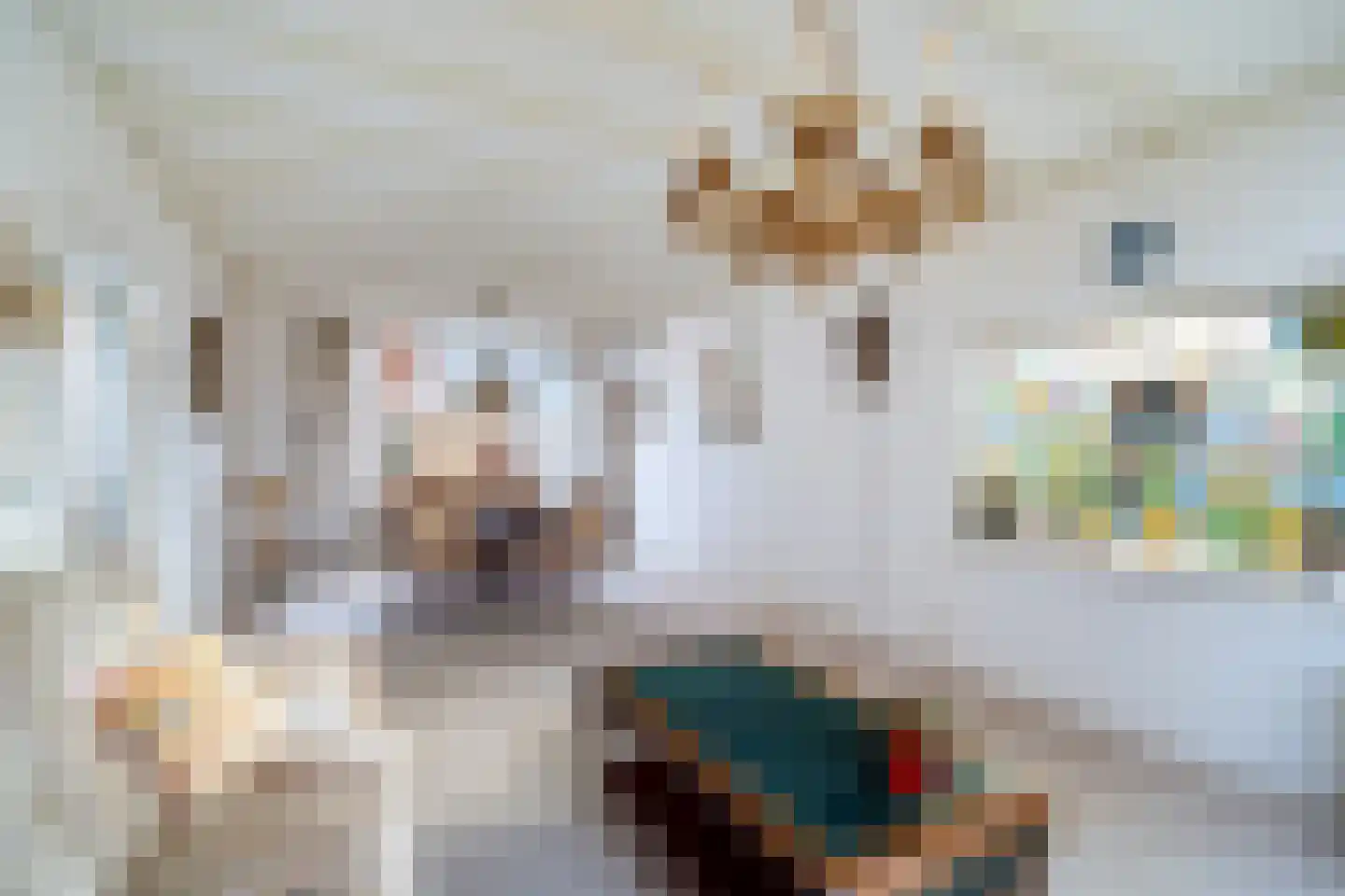 Swemcoperlaan 43 Berkel en Rodenrijs thumbnail 13