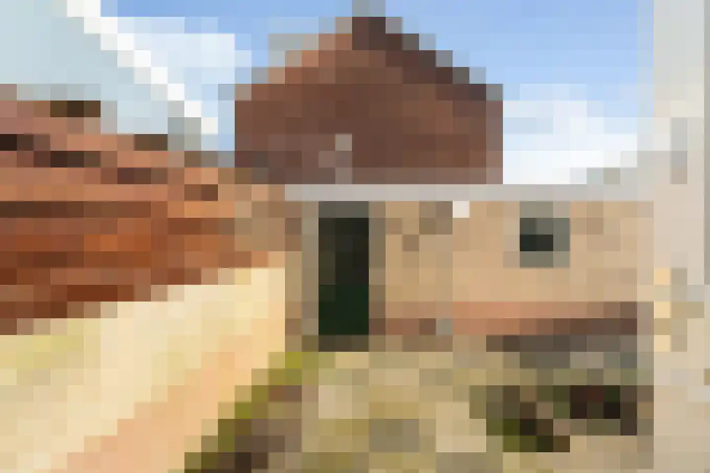 Swemcoperlaan 43 Berkel en Rodenrijs thumbnail 22