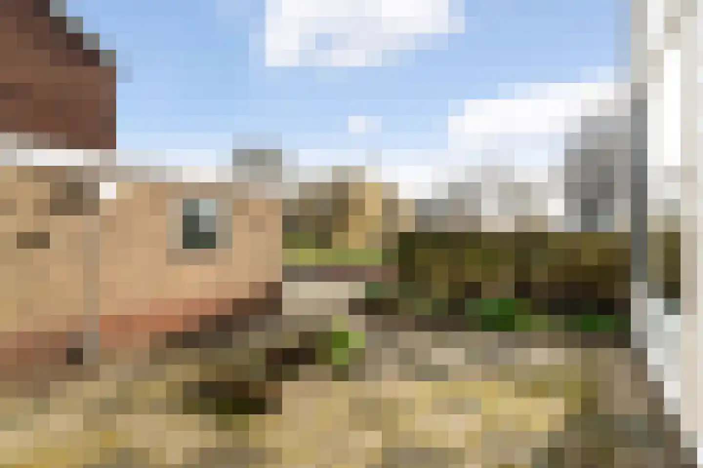 Swemcoperlaan 43 Berkel en Rodenrijs thumbnail 23