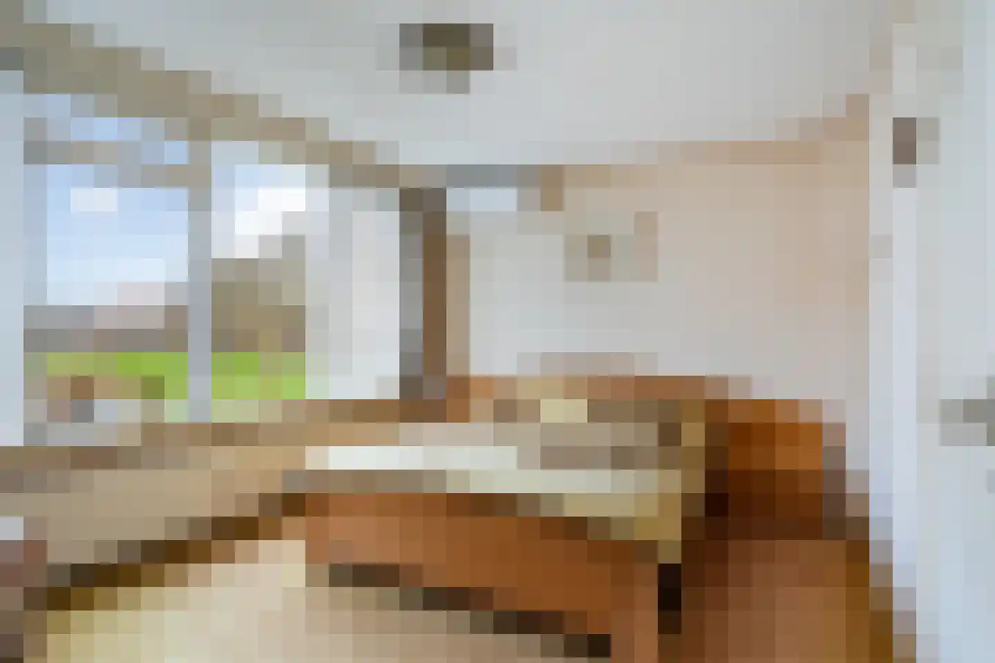 Swemcoperlaan 43 Berkel en Rodenrijs thumbnail 28