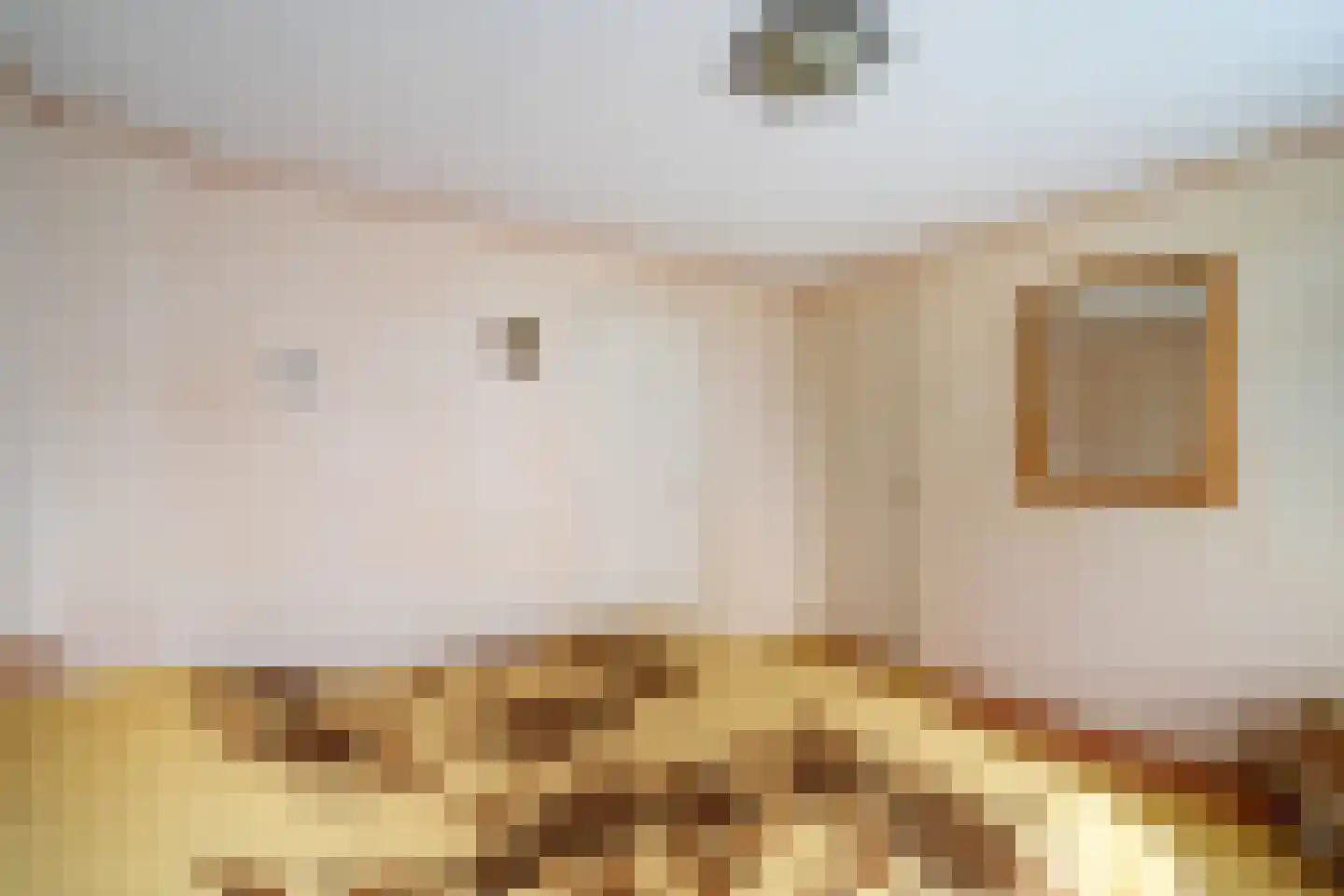 Swemcoperlaan 43 Berkel en Rodenrijs thumbnail 30