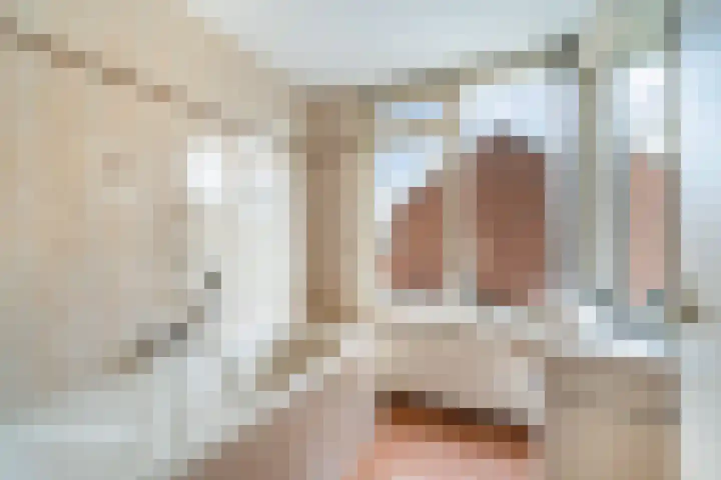 Swemcoperlaan 43 Berkel en Rodenrijs thumbnail 36