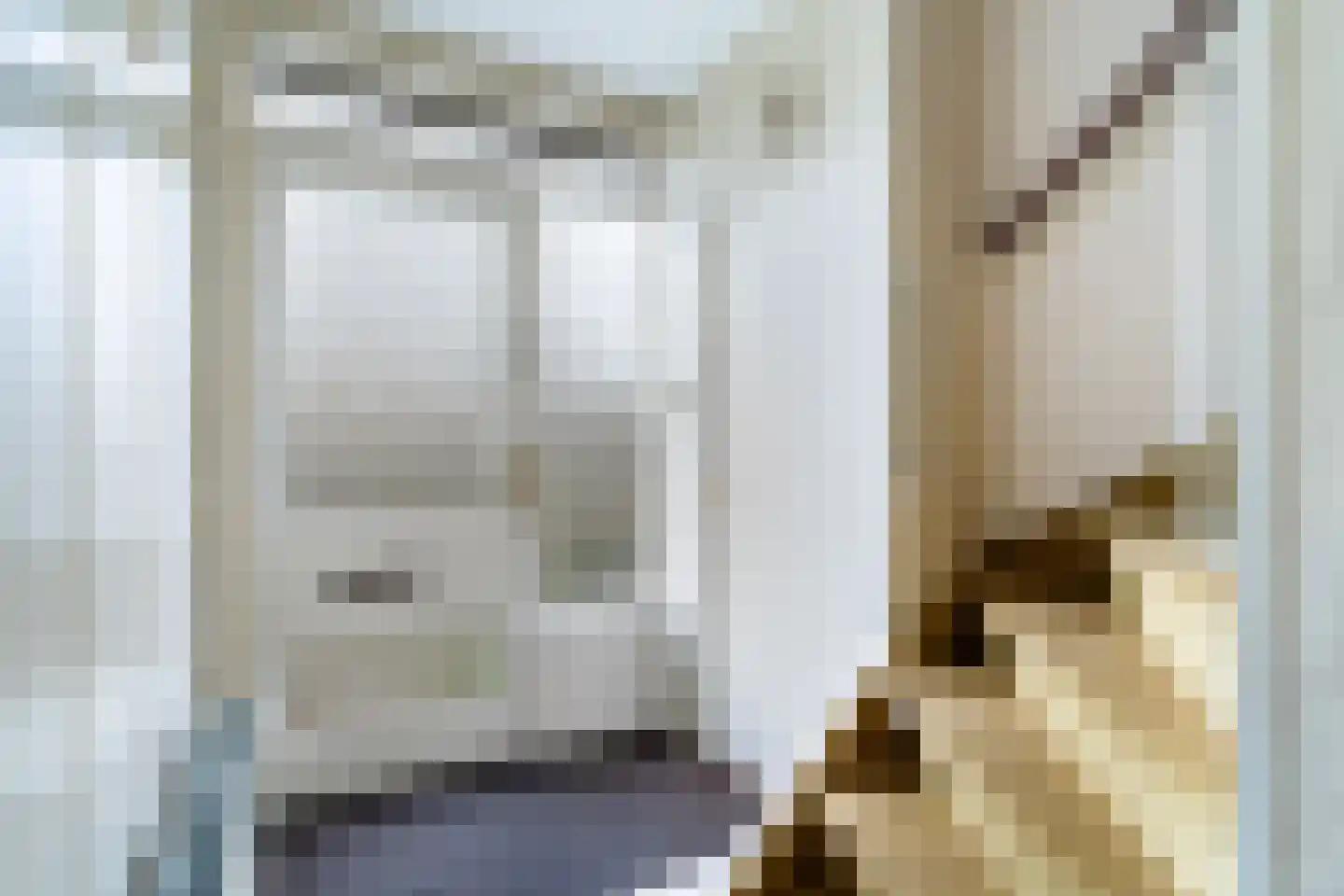 Swemcoperlaan 43 Berkel en Rodenrijs thumbnail 7