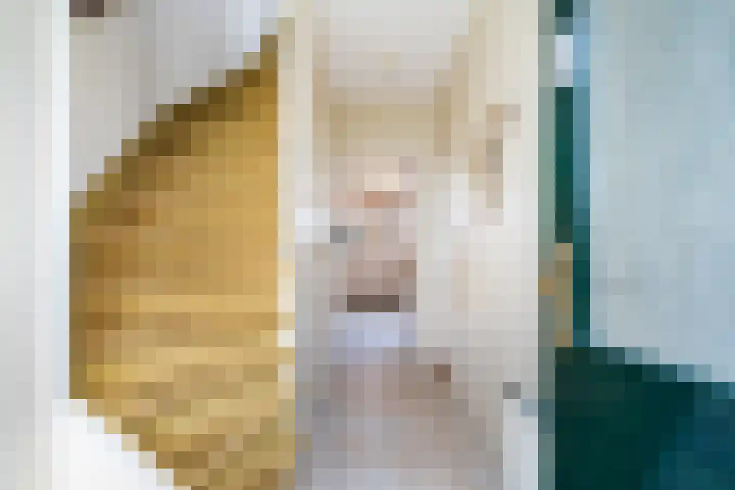 Swemcoperlaan 43 Berkel en Rodenrijs thumbnail 8