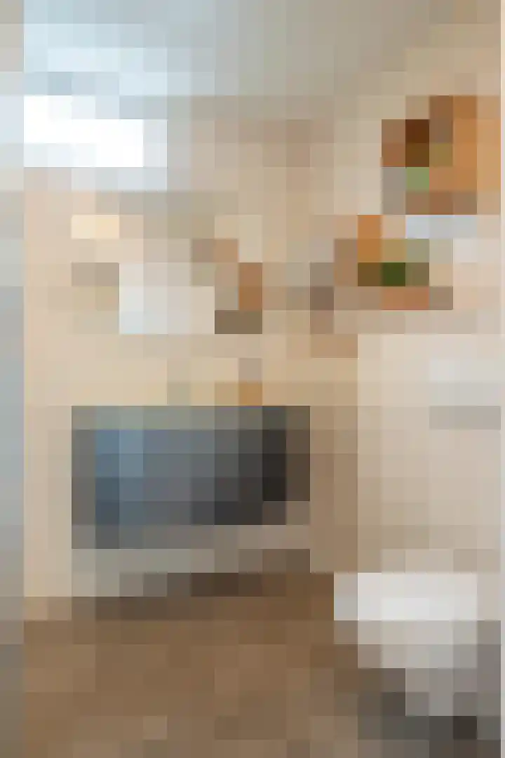 Swentiboldlaan 32 Urmond thumbnail 34
