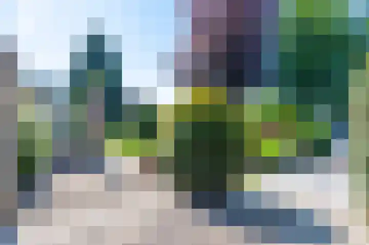 Swentiboldlaan 32 Urmond thumbnail 40