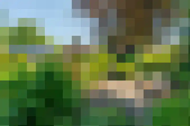 Swentiboldlaan 32 Urmond thumbnail 42