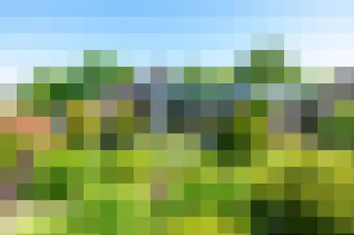 Swentiboldlaan 32 Urmond thumbnail 43