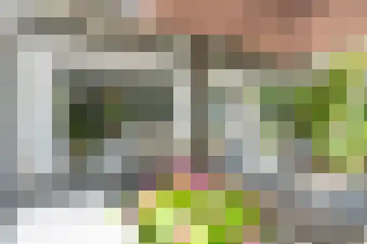Swentiboldlaan 46 Urmond thumbnail 22