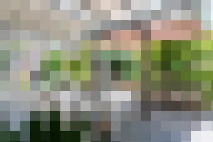 Swentiboldlaan 46 Urmond thumbnail 23