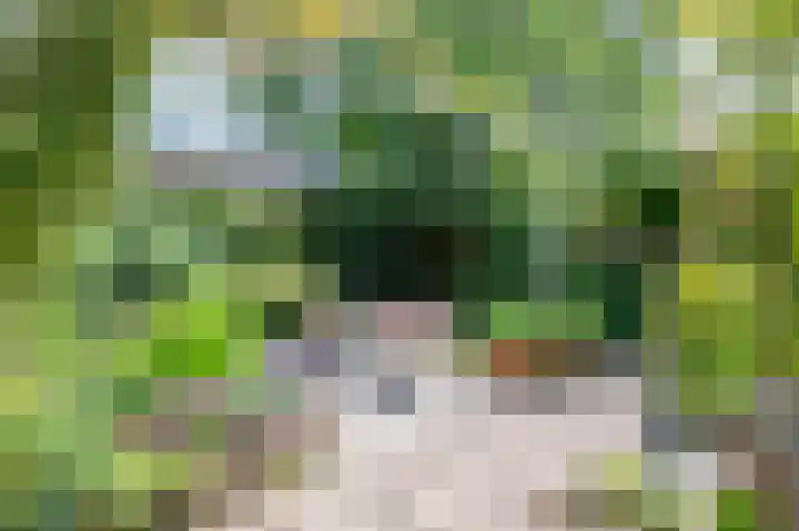 Swentiboldlaan 46 Urmond thumbnail 24