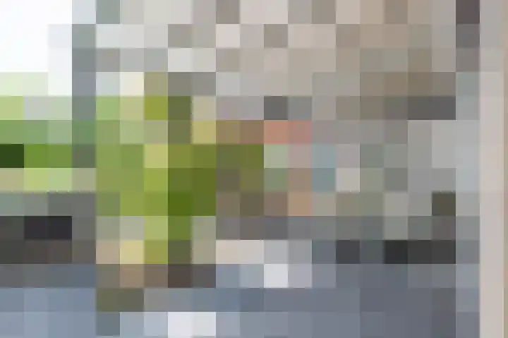 Swentiboldlaan 46 Urmond thumbnail 25