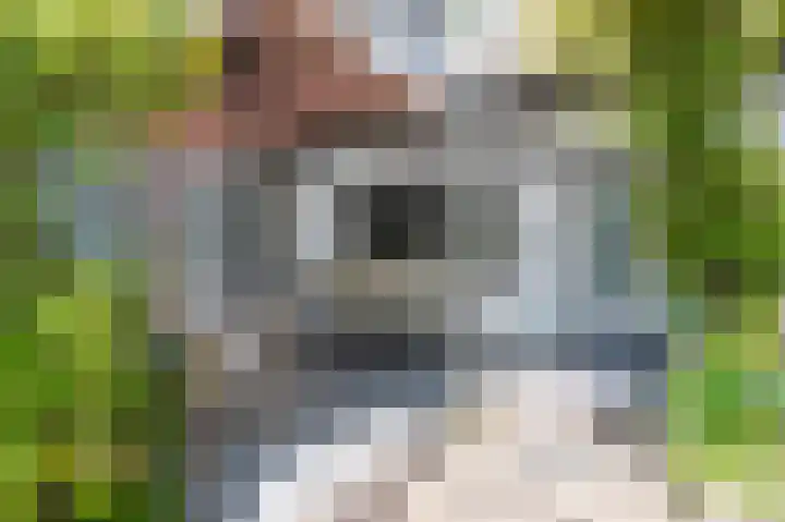 Swentiboldlaan 46 Urmond thumbnail 26