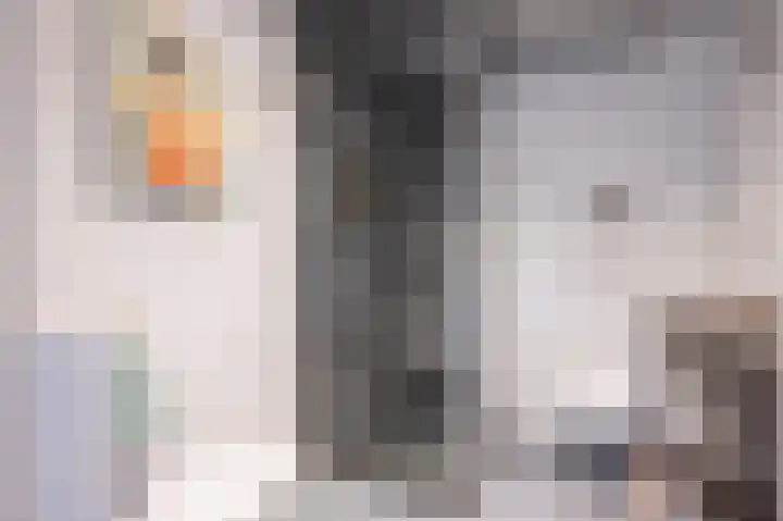Swentiboldlaan 46 Urmond thumbnail 4
