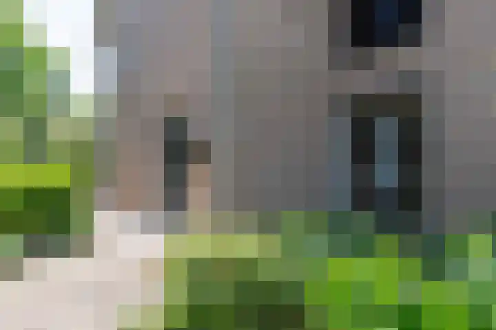 Swentiboldlaan 46 Urmond thumbnail 8