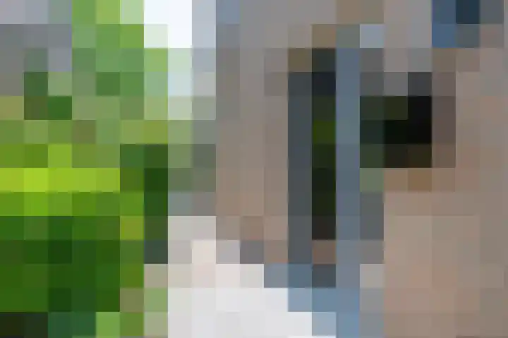 Swentiboldlaan 46 Urmond thumbnail 9