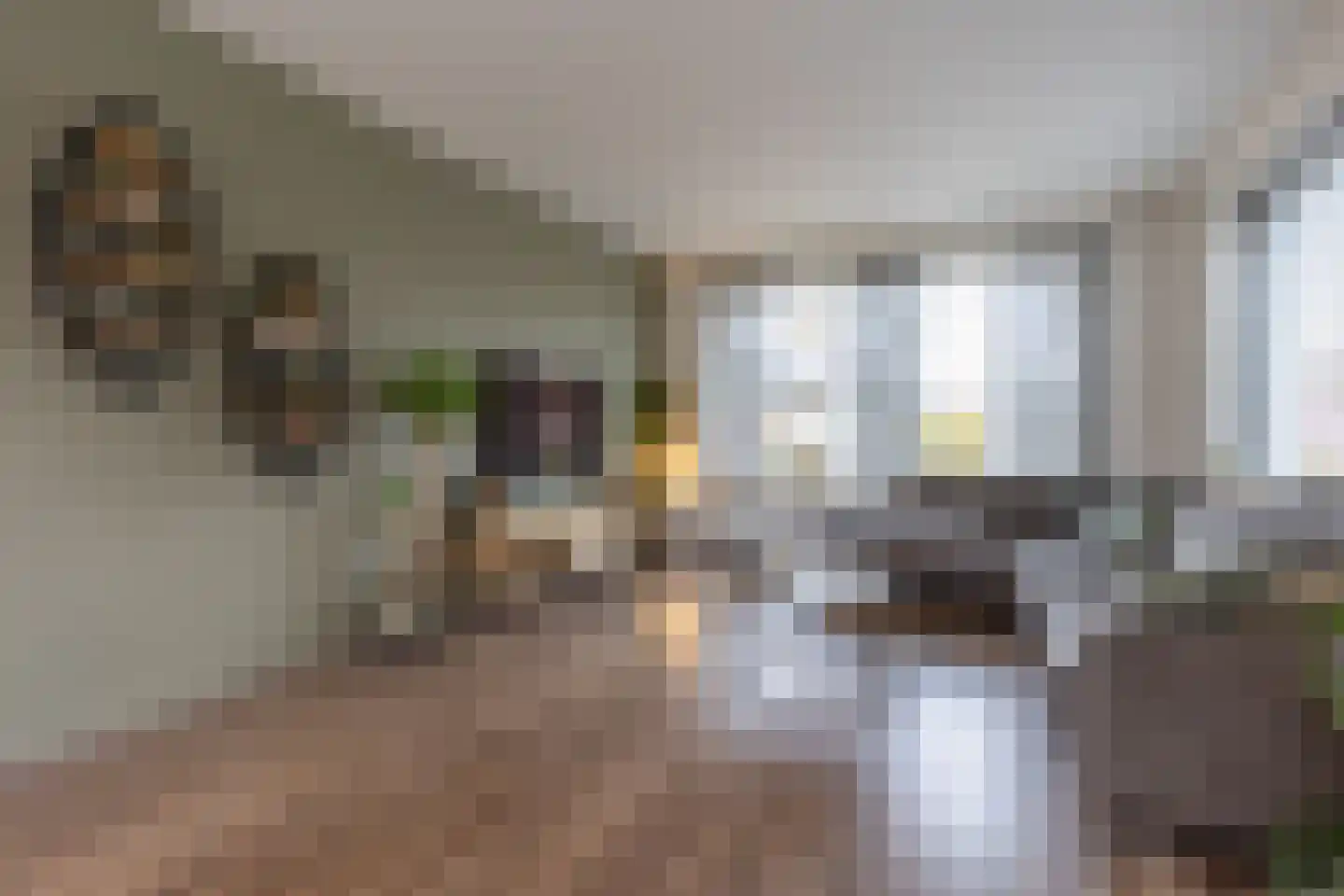 Swentiboldlaan 52 Urmond thumbnail 14
