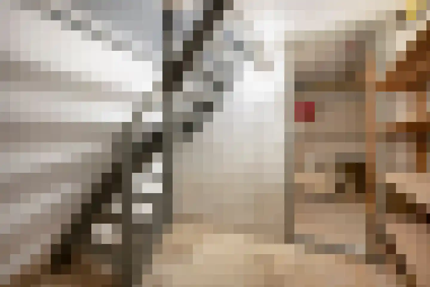 Swentiboldstraat 17 Susteren thumbnail 18