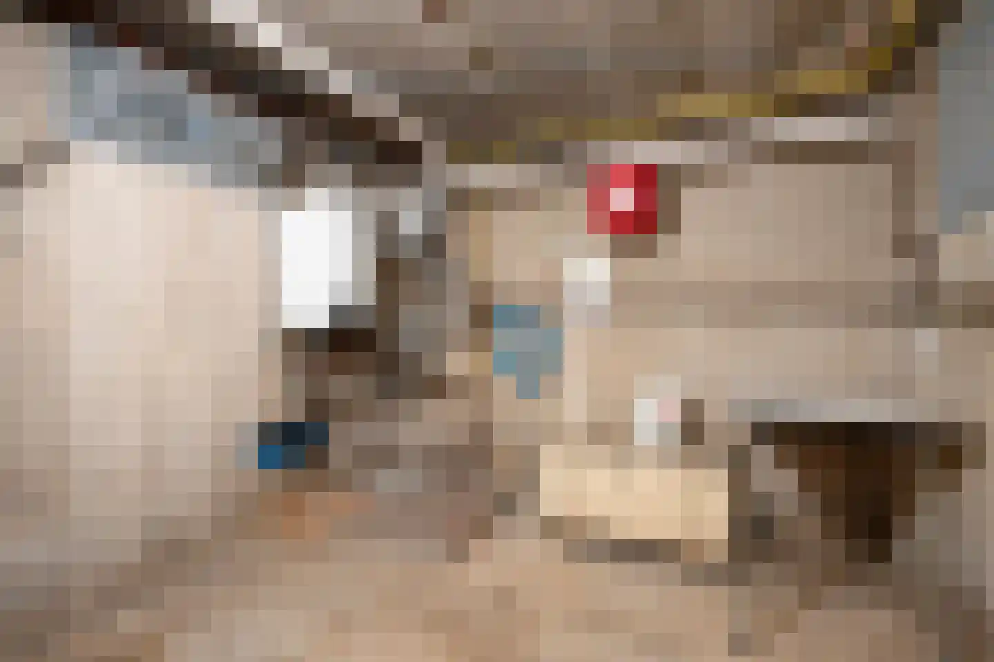Swentiboldstraat 17 Susteren thumbnail 19