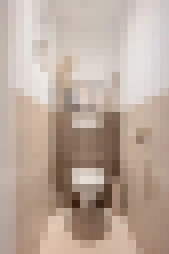 Swentiboldstraat 26 Guttecoven thumbnail 13