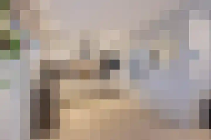 Swentiboldstraat 26 Guttecoven thumbnail 18