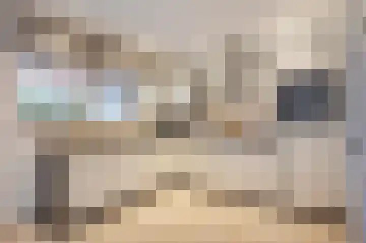 Swentiboldstraat 26 Guttecoven thumbnail 20