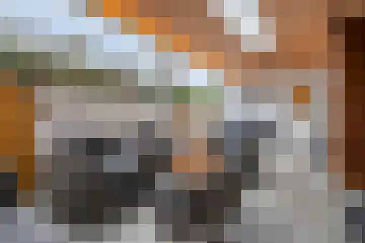 Swentiboldstraat 26 Guttecoven thumbnail 24