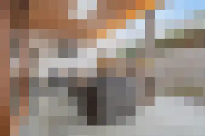 Swentiboldstraat 26 Guttecoven thumbnail 25
