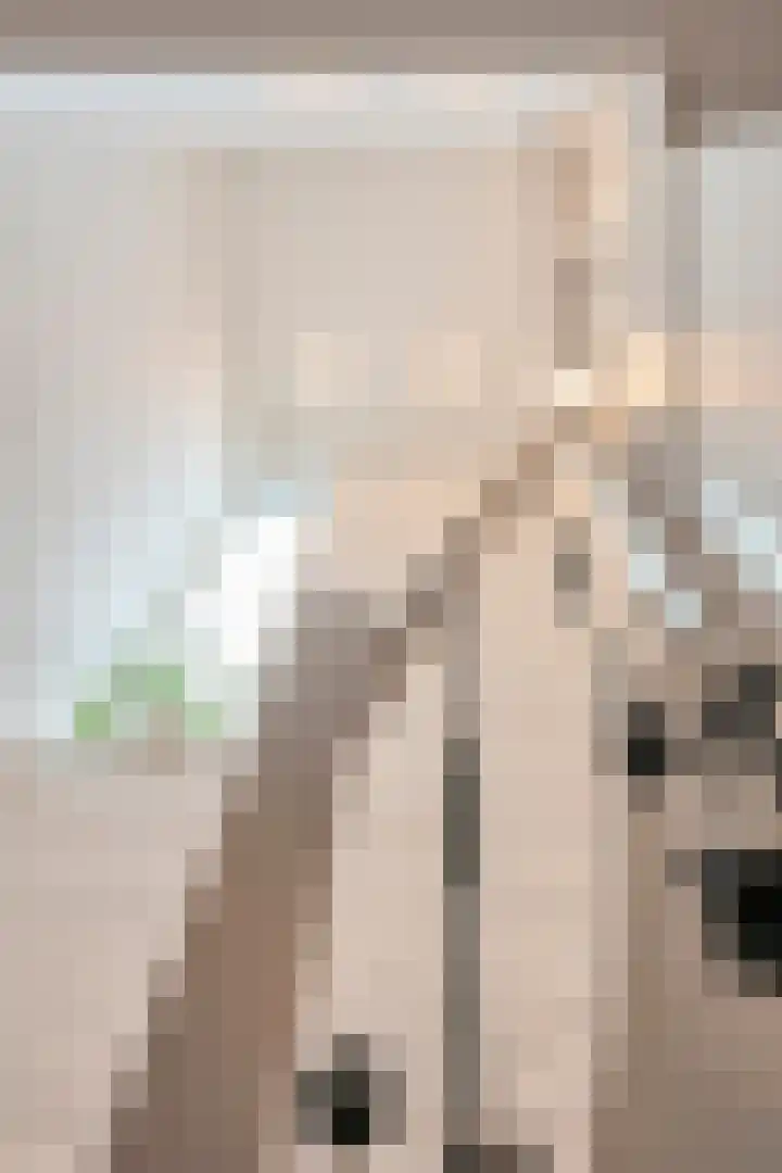 Swentiboldstraat 26 Guttecoven thumbnail 31