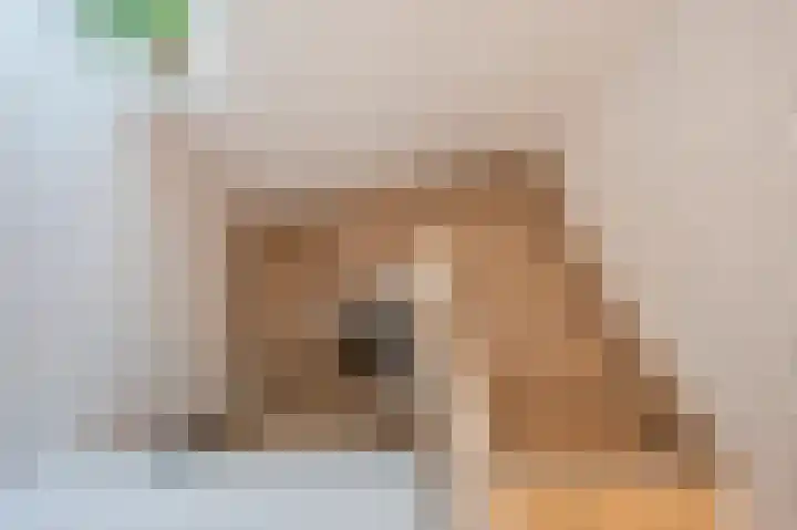 Swentiboldstraat 26 Guttecoven thumbnail 42