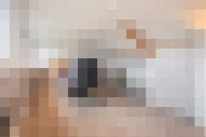Swentiboldstraat 26 Guttecoven thumbnail 43