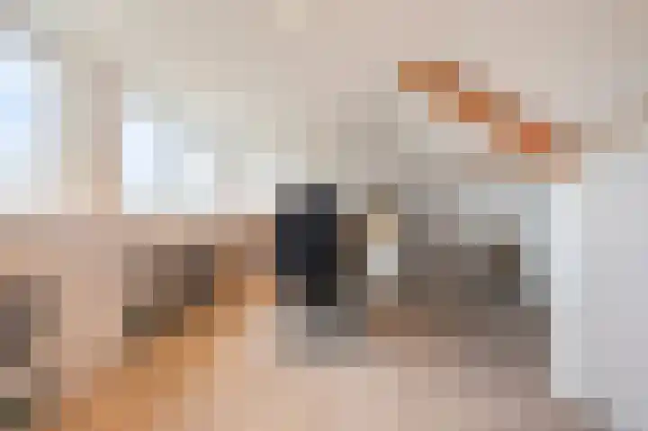 Swentiboldstraat 26 Guttecoven thumbnail 44