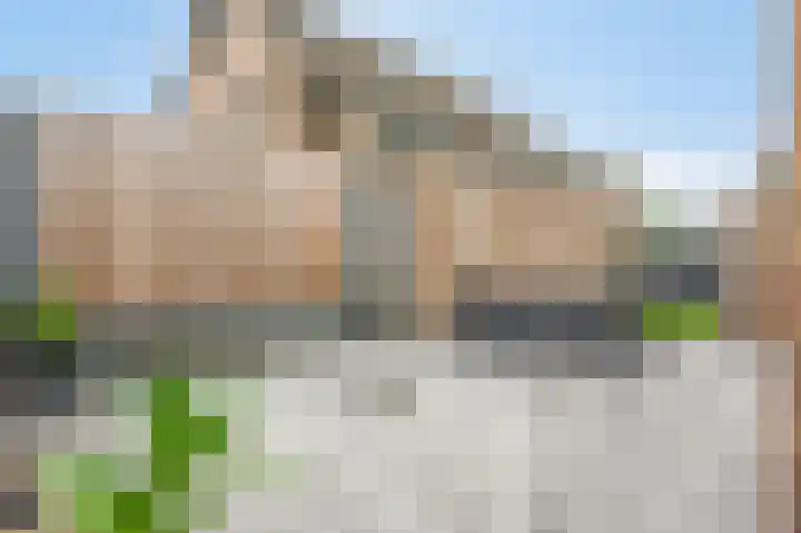 Swentiboldstraat 26 Guttecoven thumbnail 5