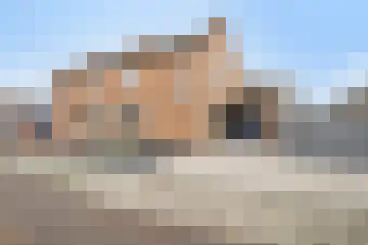 Swentiboldstraat 26 Guttecoven thumbnail 7