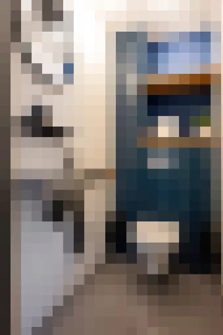 Swentiboldstraat 4 A Guttecoven thumbnail 10
