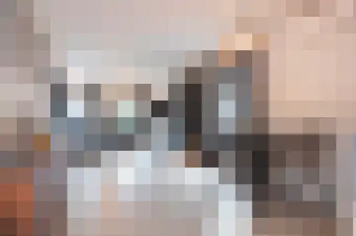 Swentiboldstraat 4 A Guttecoven thumbnail 17