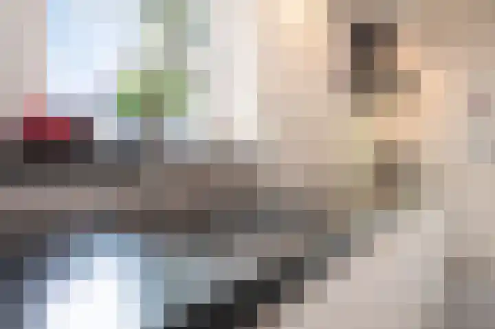 Swentiboldstraat 4 A Guttecoven thumbnail 22