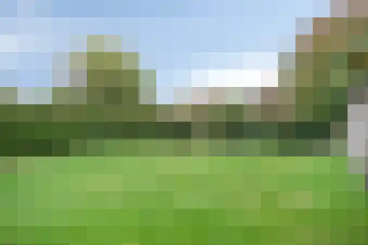 Swentiboldstraat 4 A Guttecoven thumbnail 30