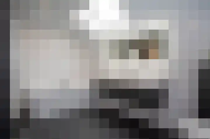 Swentiboldstraat 4 A Guttecoven thumbnail 36