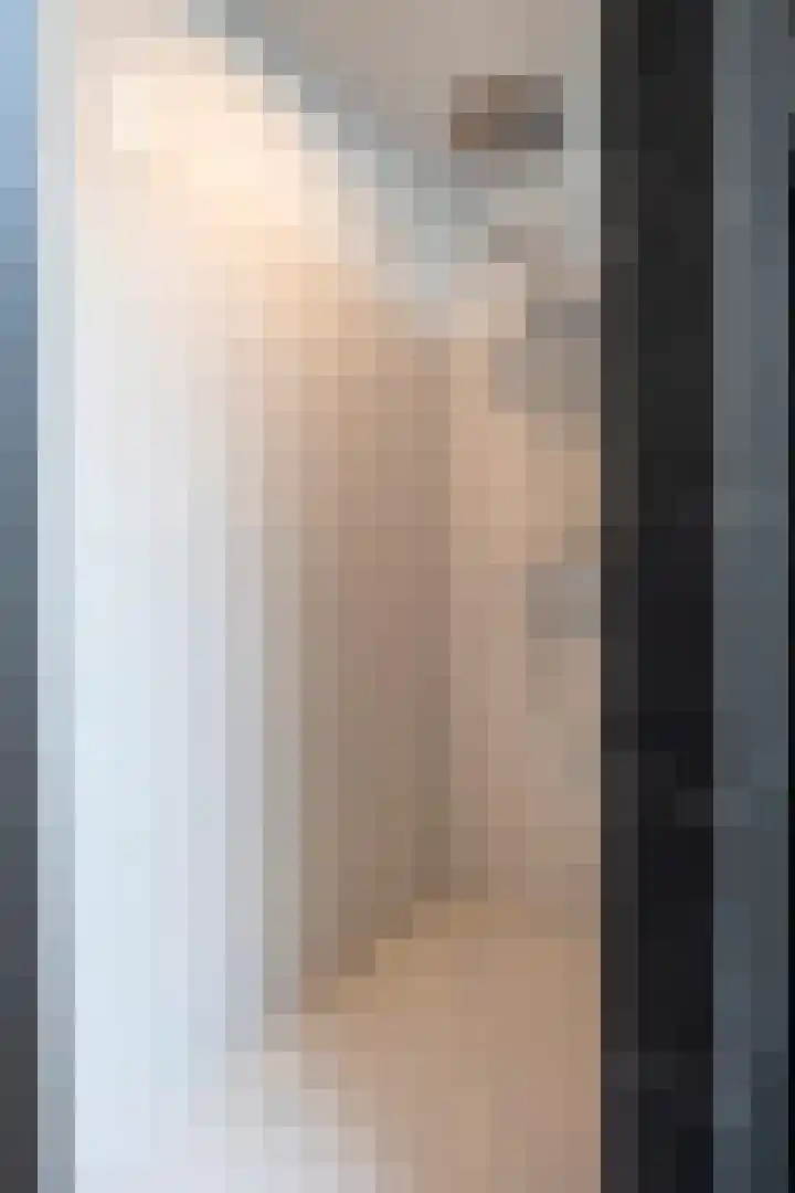 Swentiboldstraat 4 A Guttecoven thumbnail 38