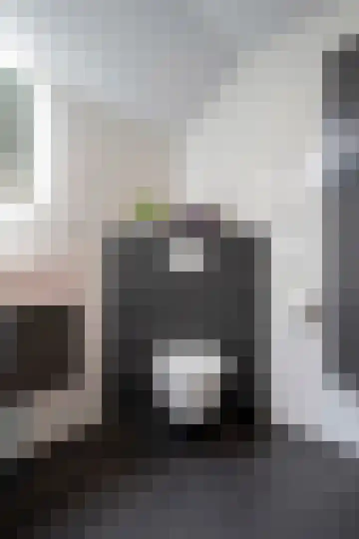 Swentiboldstraat 4 A Guttecoven thumbnail 41
